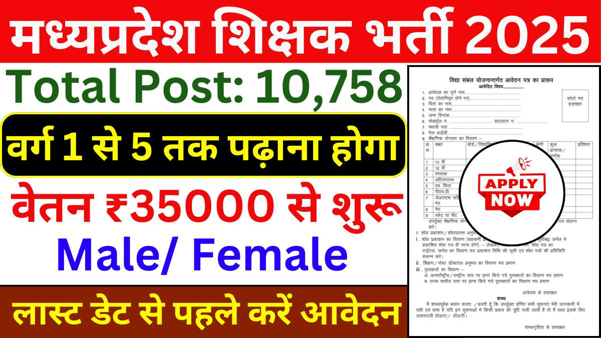 MP Teacher Vacancy 2025