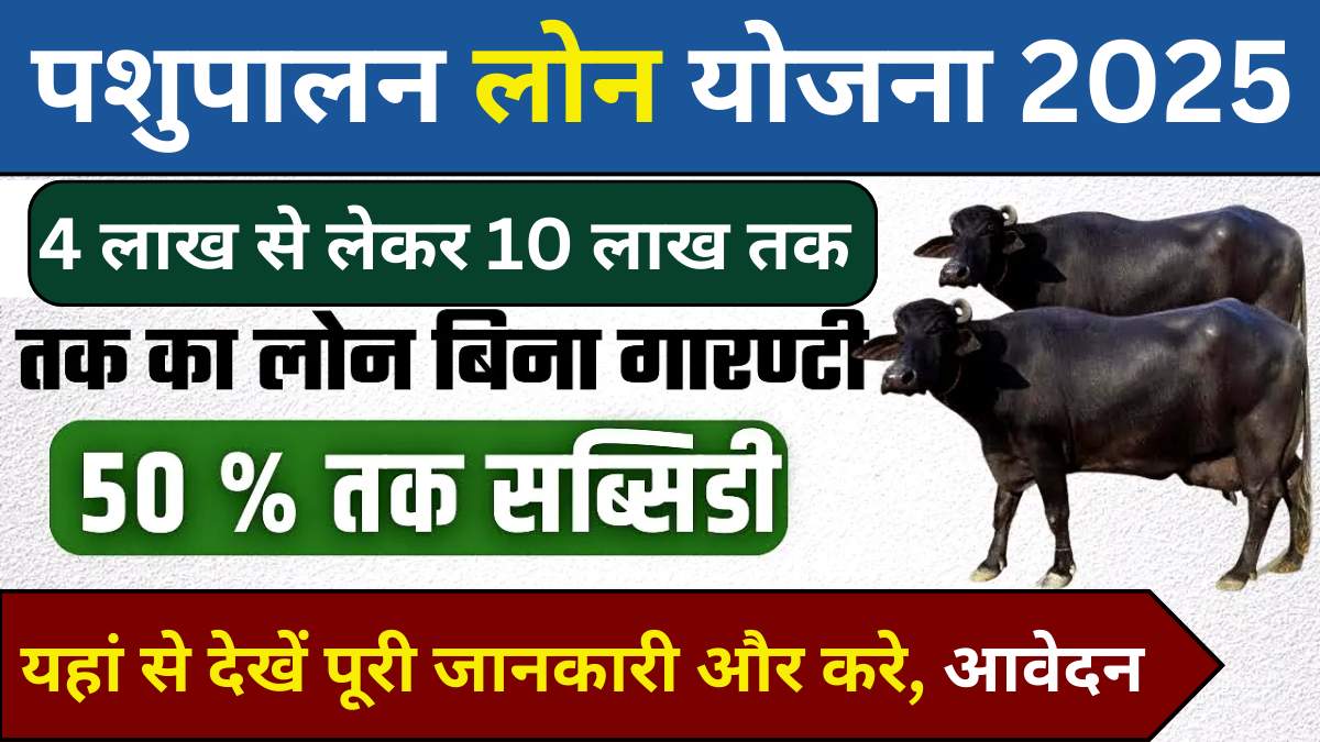 Pashupalan Loan Kaise Le